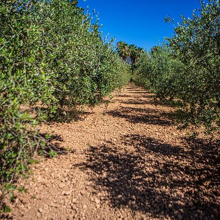 הוילה אלרו Son Ribes מראה חיצוני תמונה